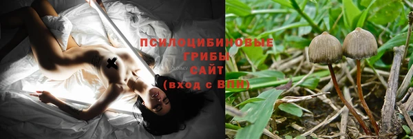 прущая мука Белокуриха