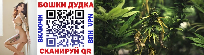 Каннабис SATIVA & INDICA  Пионерский 